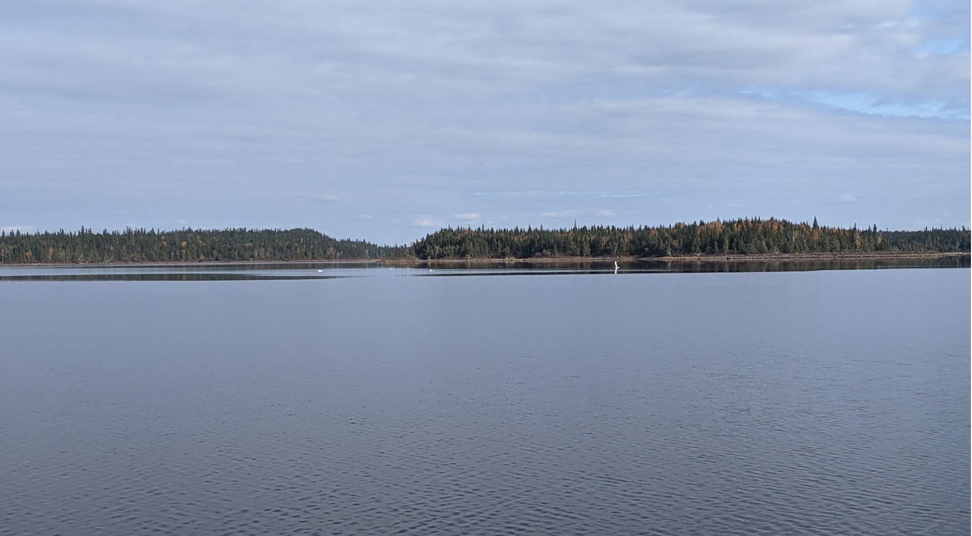 Wachigabau lake, occurrence site