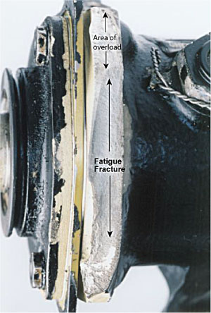 Photo of Close-up of fracture area