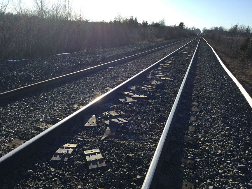 Selles déposées entre les rails dans les environs de l’événement